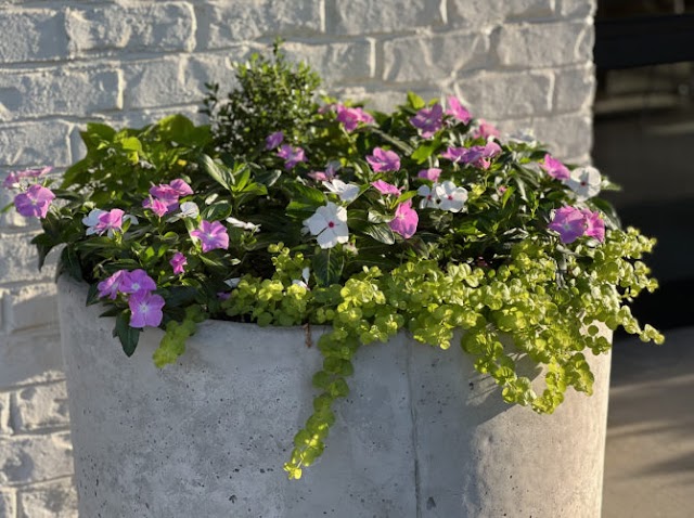 Precision Landscape Management
