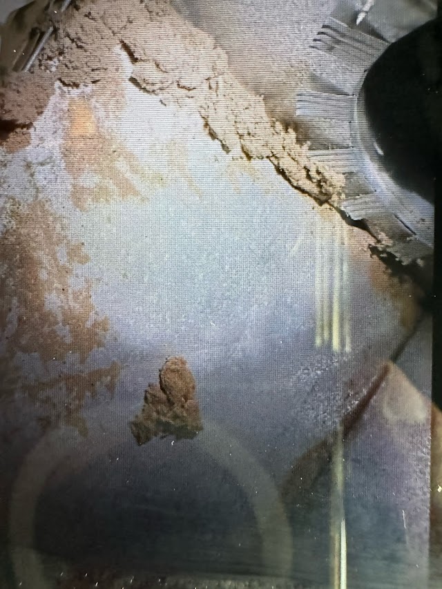 Premier Carpet & Duct Cleaning photo 2