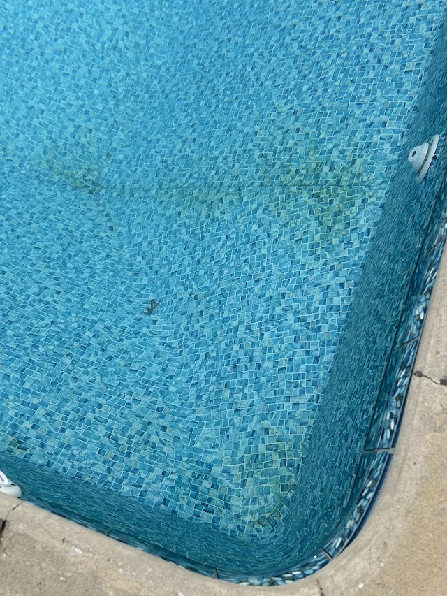 Prestige Pools Inc. photo 2