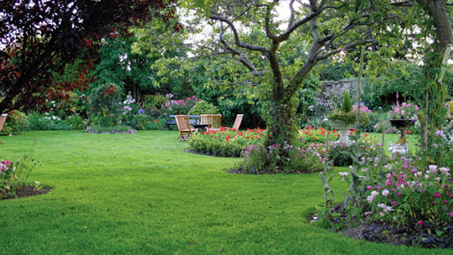 Pride-In-Turf Lawn Care Atlanta photo 4