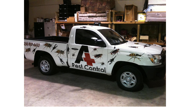 Prime Pest Control photo 4