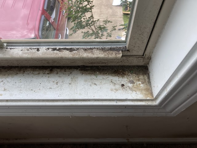 Pristine Cleaning & More, L.L.C photo 1
