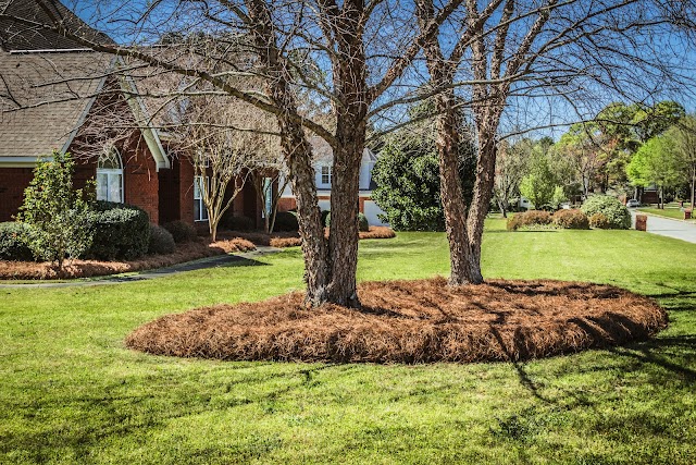 Pro Outdoor Lawn Care & Landscaping photo 2