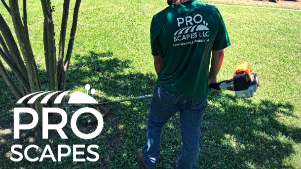 Pro Scapes LLC