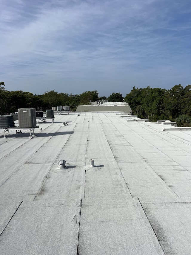 Professional Roofing and Construction photo 3
