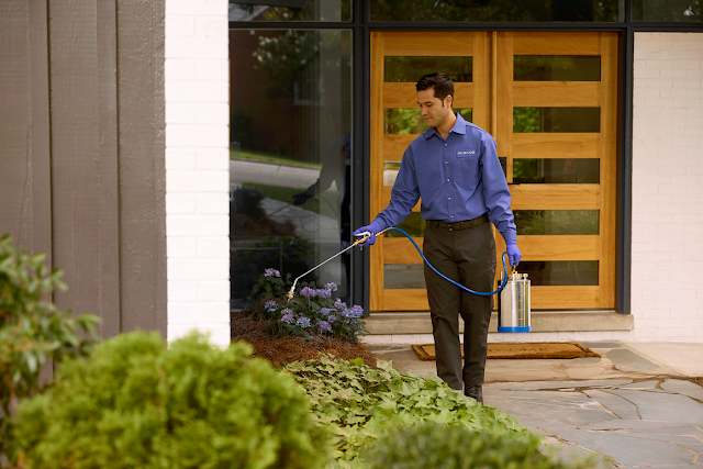 PURCOR Pest Solutions photo 2