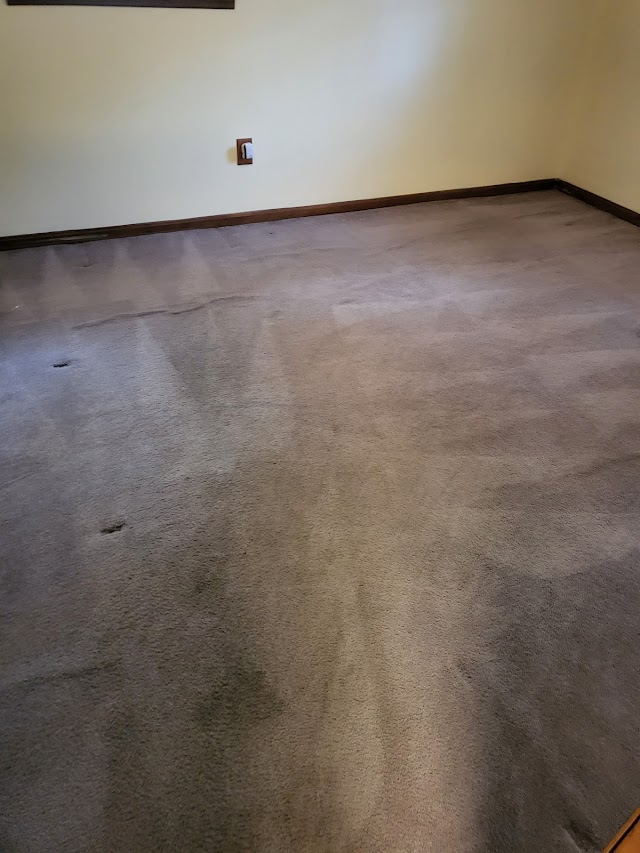 Quality Care Carpet Cleaning photo 2