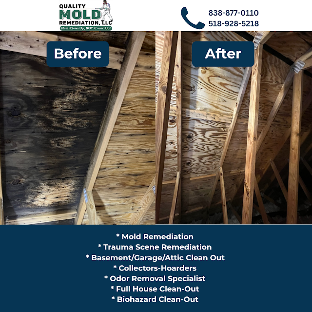 Quality Mold Remediation LLC photo 1