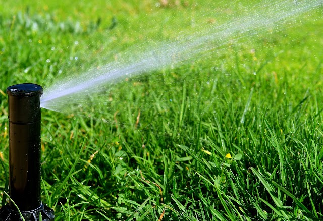 Rainmaker Irrigation, Inc. photo 3