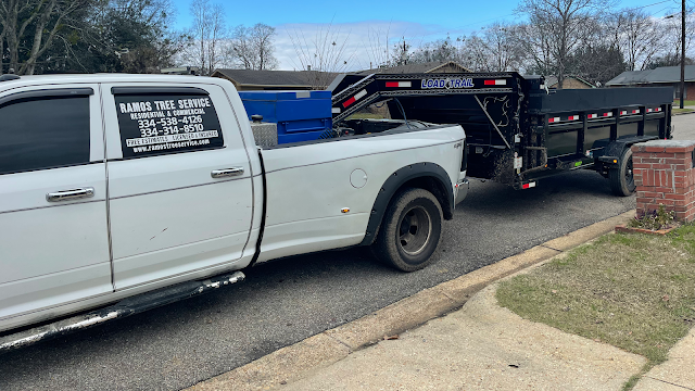 Ramos Tree Service
