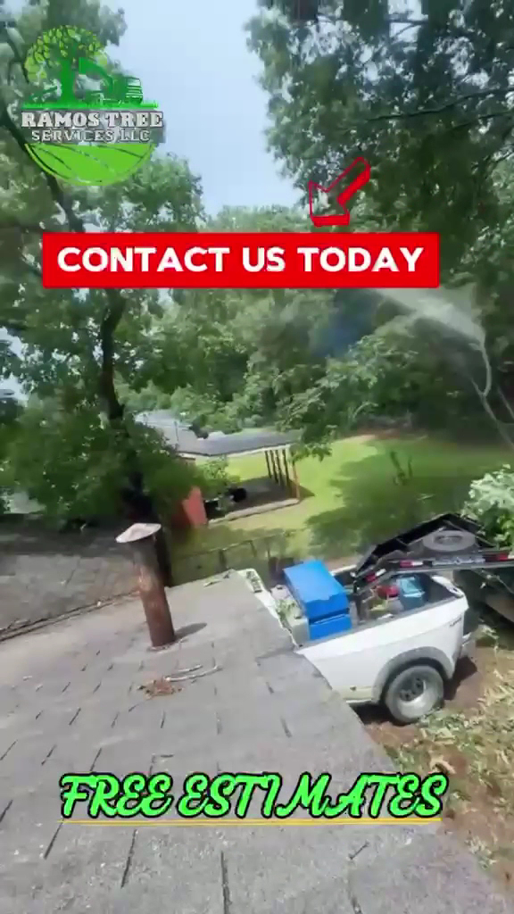 Ramos Tree Service photo 3