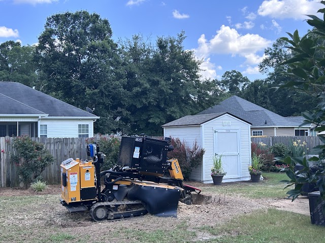 Rapid Tree Service photo 2