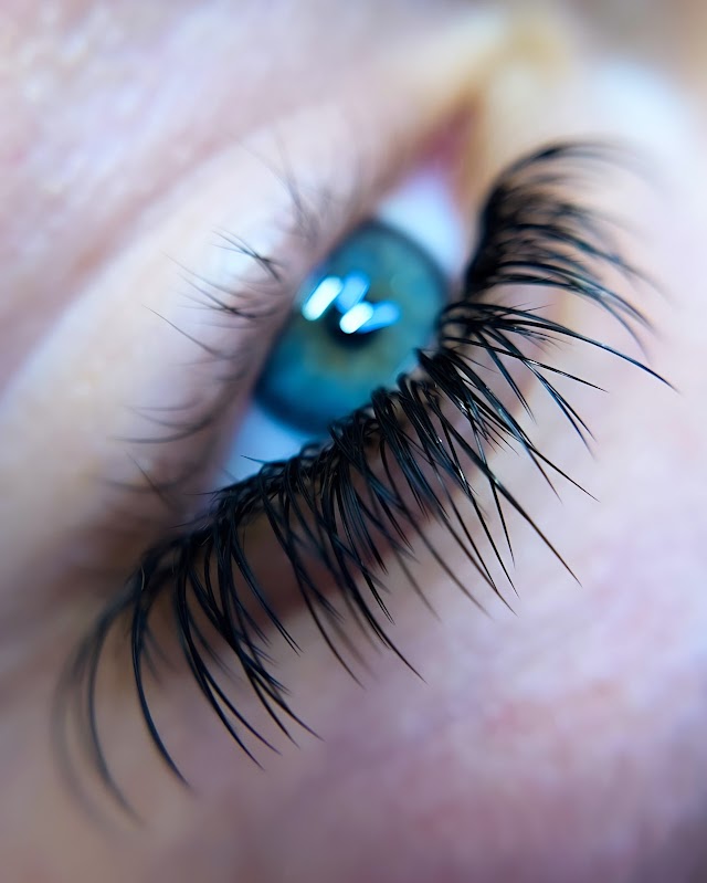 Rebel Lash Studios