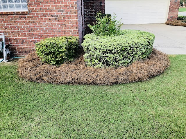 Red Bird Lawn Care, LLC & Pressure Washing photo 4