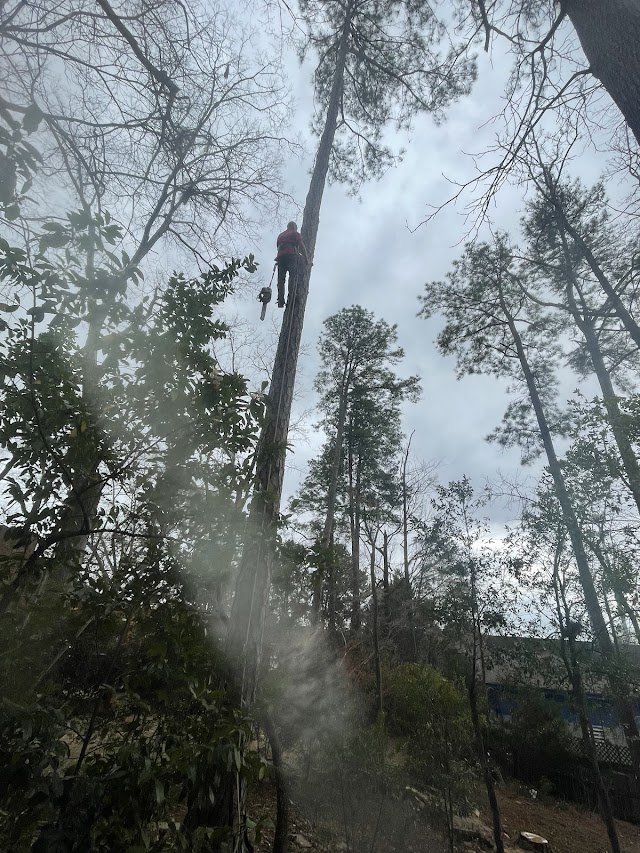 RedTop Tree Service, LLC