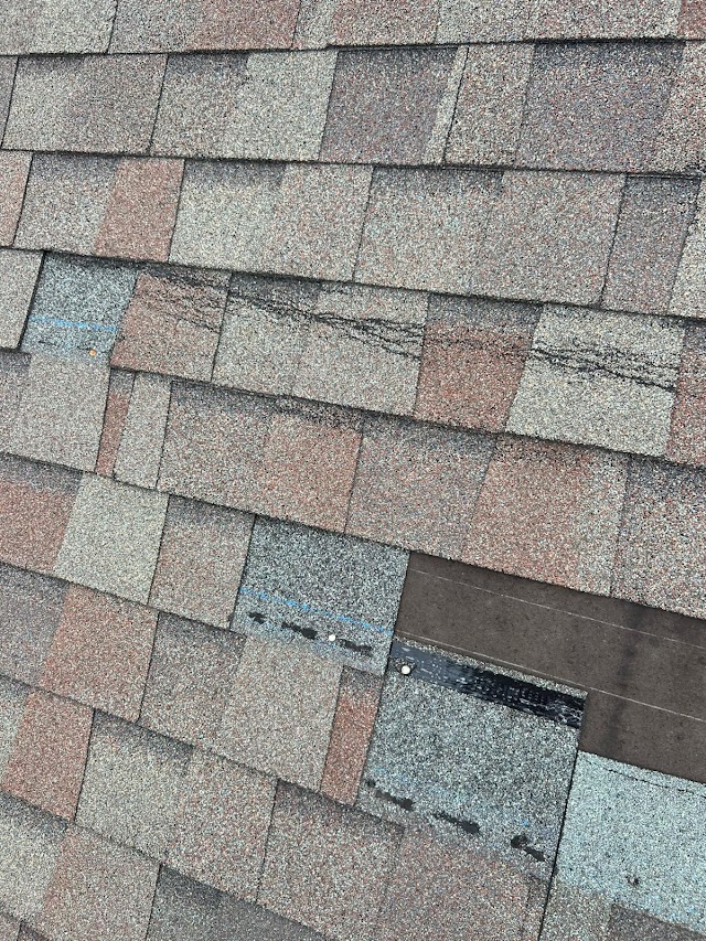 Reinhardt Roof Repair