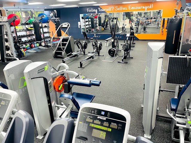 Renew PT & Wellness photo 4