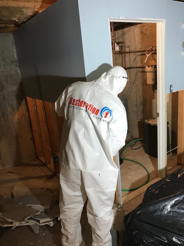 Restoration 1 of Tuscaloosa