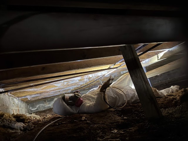 Restoration Specialist photo 2