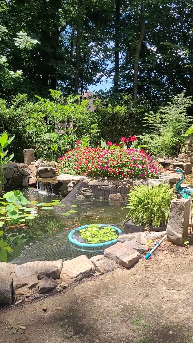 Rex Stonework and Landscape photo 3