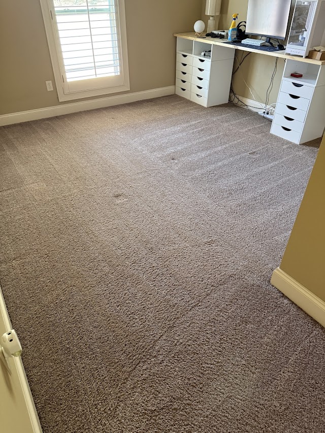 Reynolds Carpet Care