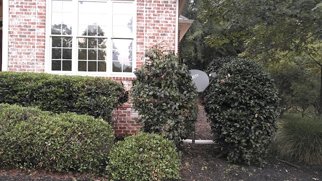 Reynolds Landscape Contractors