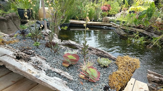 Reynolds Landscape Contractors photo 4