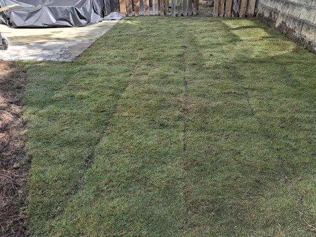 Rico's Landscaping & Remodeling
