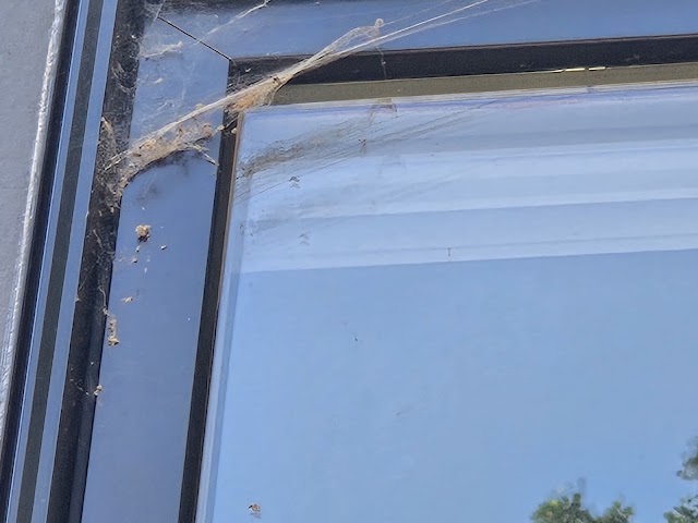 RIDD Pest Control photo 2
