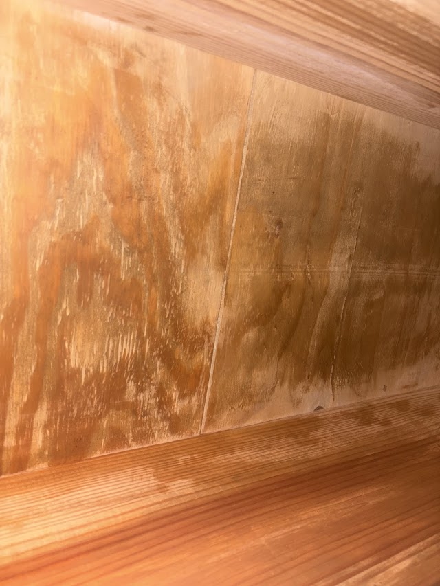 RightAway Restoration photo 2