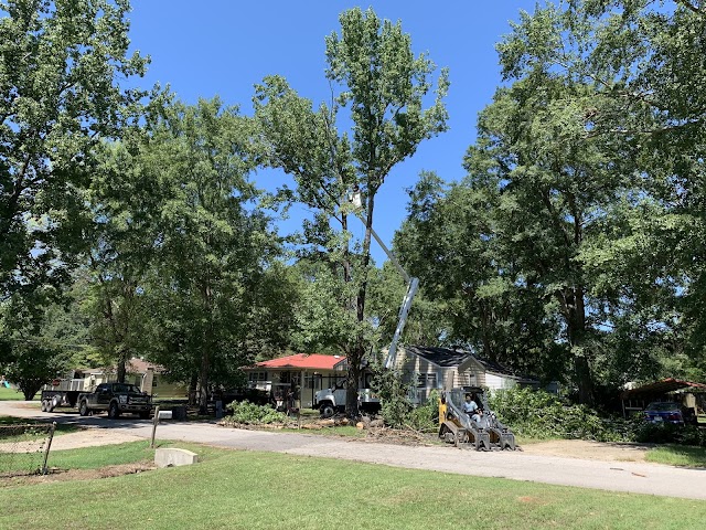 Robert Tree Service Company
