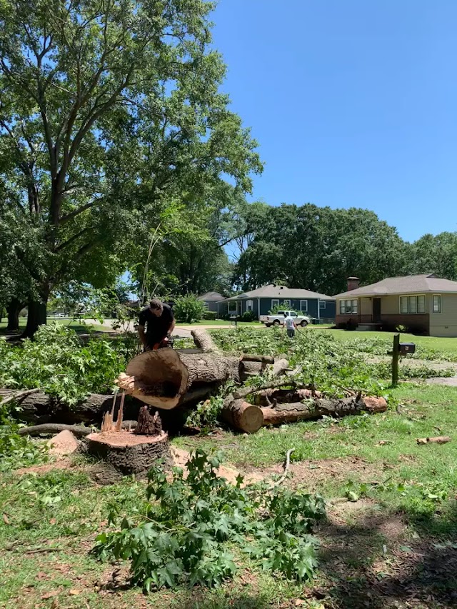 Robert Tree Service Company photo 2