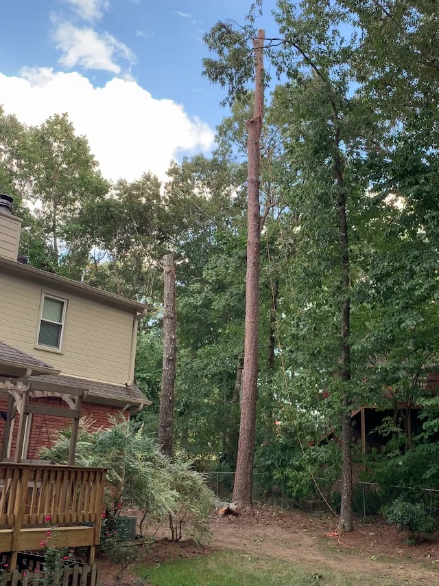 Robert Tree Service Company photo 3