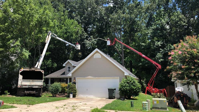 Rocket City Tree Service