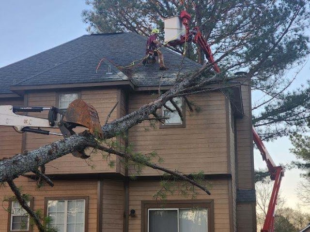Rocket City Tree Service photo 2