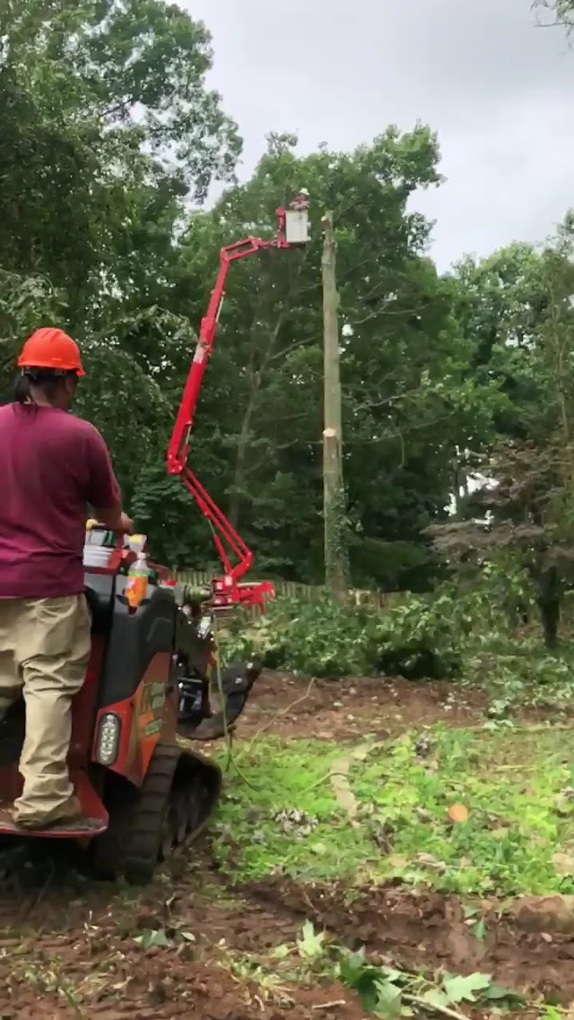 Rocket City Tree Service photo 3