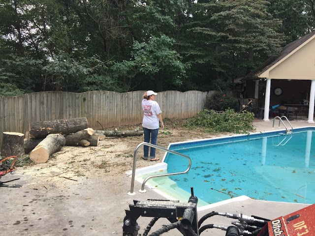 Rocket City Tree Service photo 4
