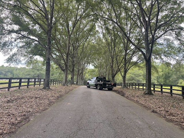 Ron's Tree Service