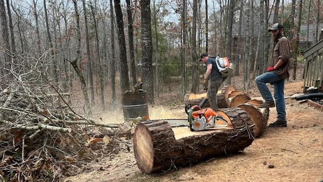 Ron's Tree Service photo 2