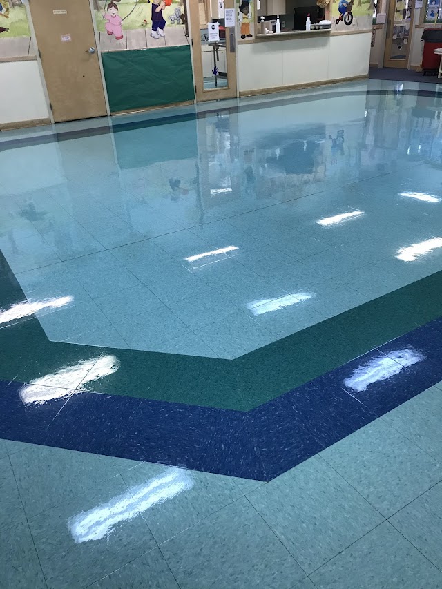 Roney's Carpet Cleaning photo 2