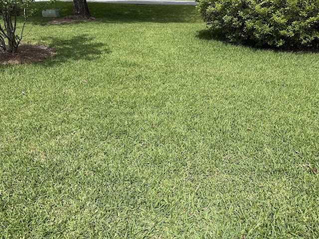 Roots Turf & Ornamental photo 2