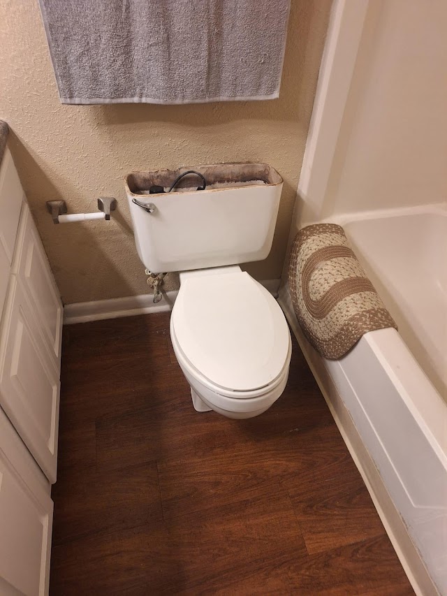 Roto-Rooter Plumbing & Drain Service photo 2