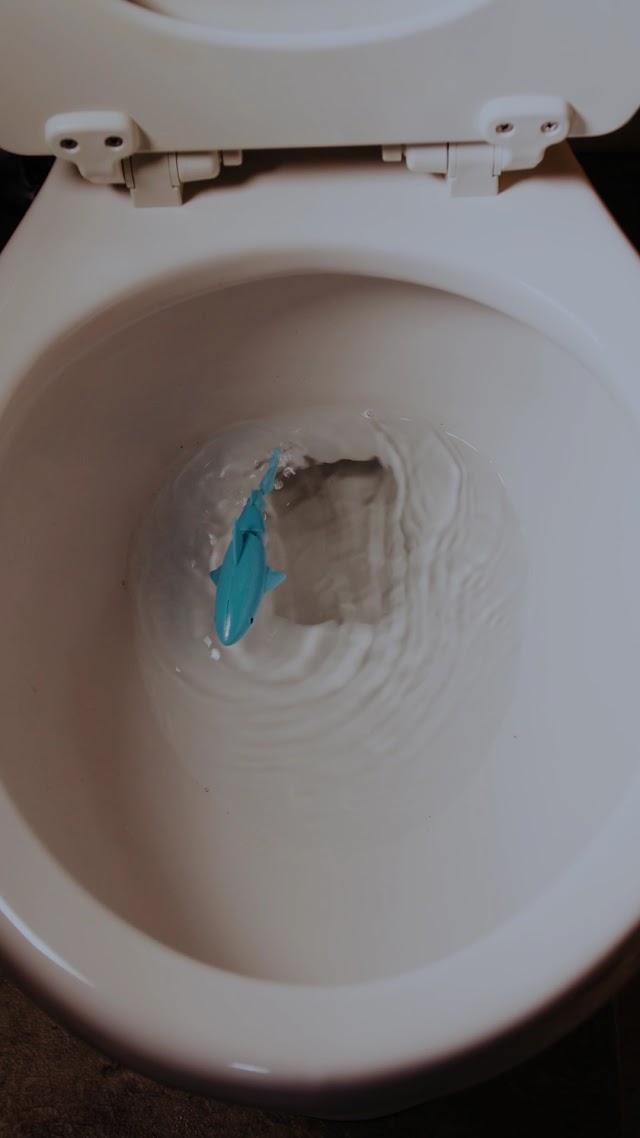 Roto-Rooter Plumbing & Water Cleanup photo 3