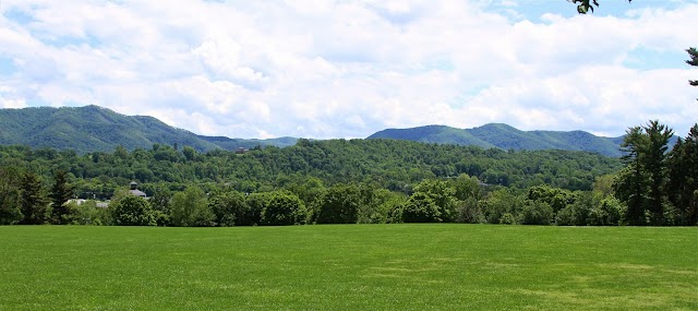 Roy Johnson & Sons Lawn Maintenance photo 2