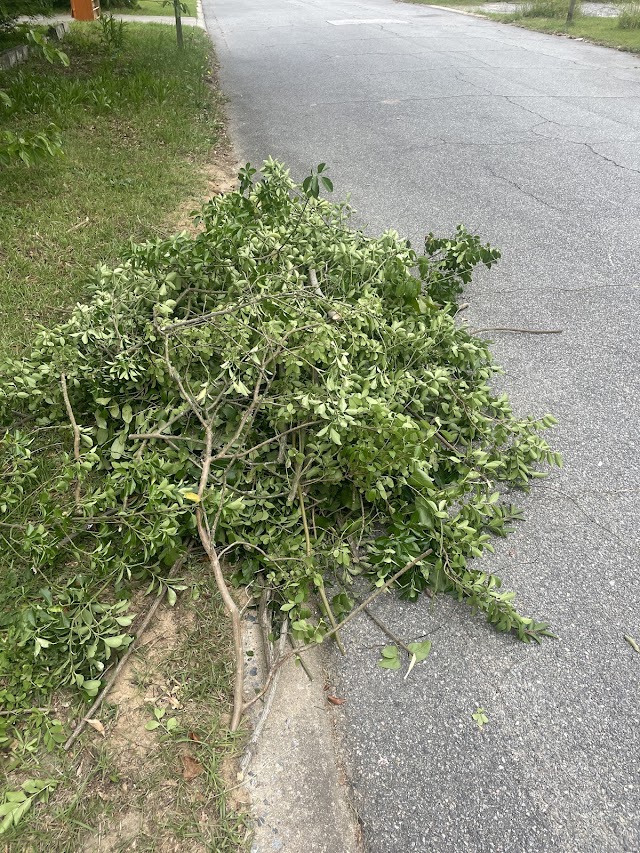Ryland Environmental