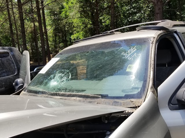 S & L Autoglass photo 3