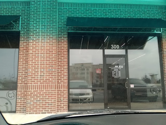 Salon Bleu photo 2