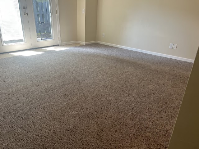Sani-Kleen Carpet Care of Savannah photo 1