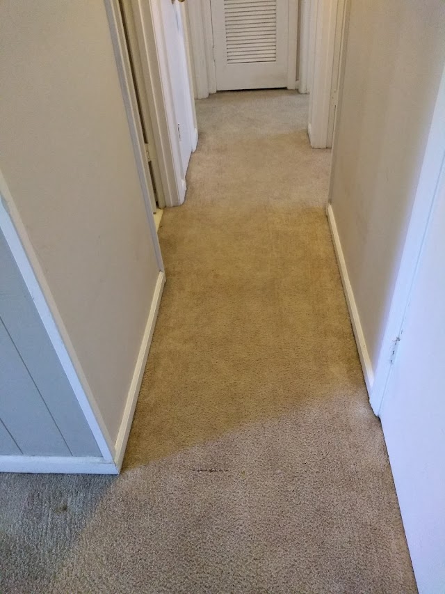 Sani-Kleen Carpet Care of Savannah photo 2