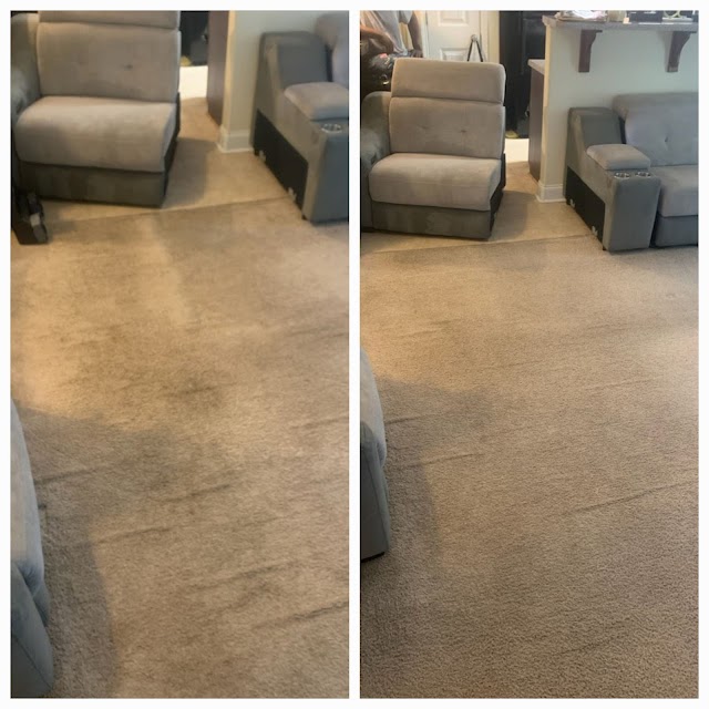 Sani-Kleen Carpet Care of Savannah photo 3